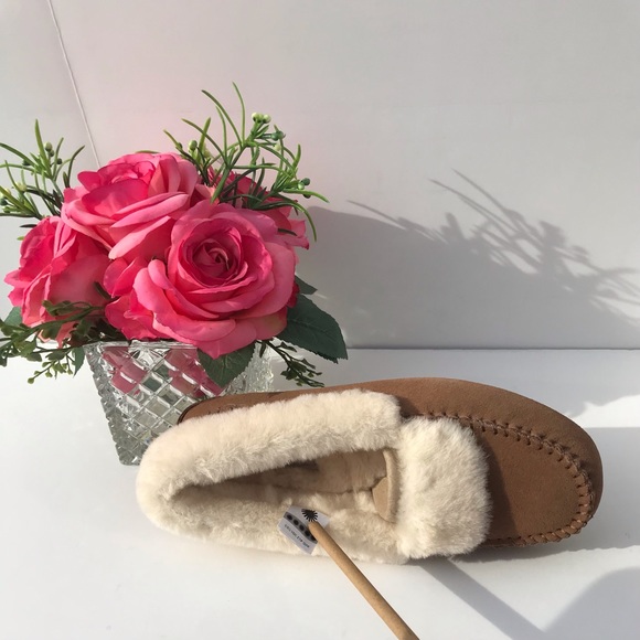 UGG Dakota Spill Seam - Picture 5 of 8